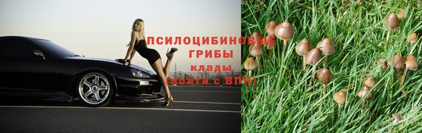 прущая мука Коряжма