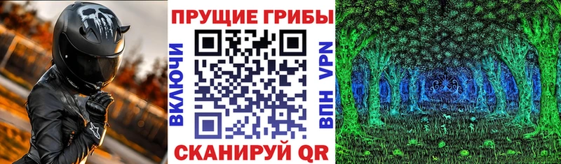Псилоцибиновые грибы Psilocybine cubensis  Балаково 