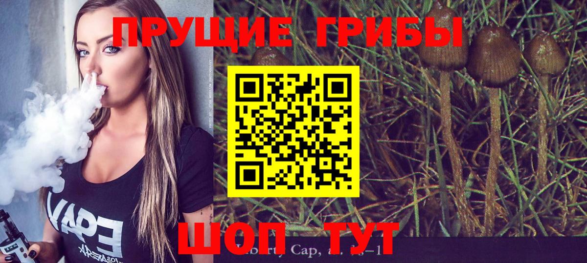 как найти наркотики  Галлюциногенные грибы GOLDEN TEACHER  Вход с VPN  Балаково 