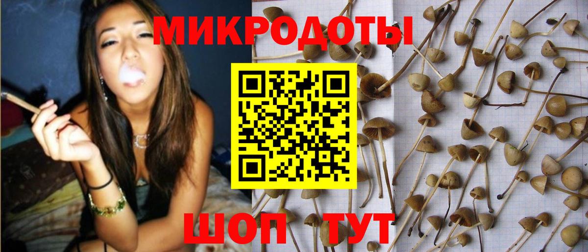 Галлюциногенные грибы прущие грибы Балаково